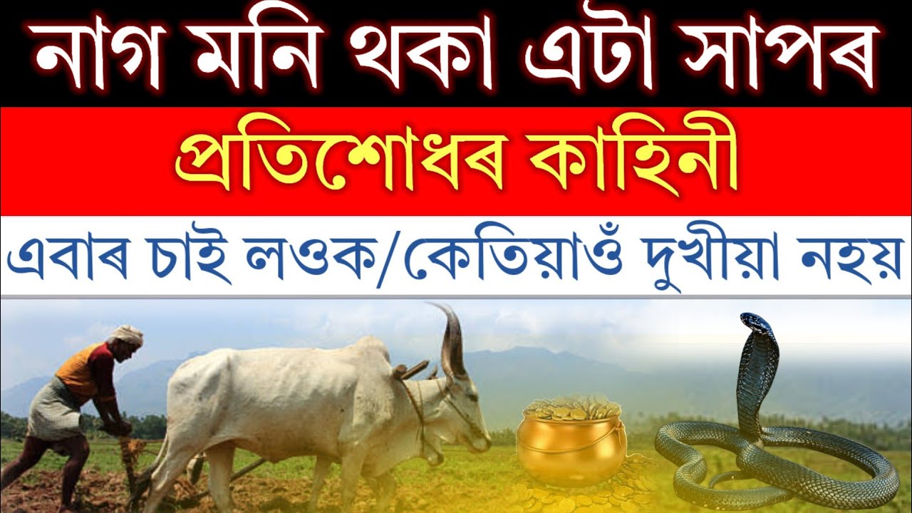 নাগীনৰ প্ৰতিশোধৰ কাহিনী।এবাৰ শুনিলে কেতিয়াও দুখীয়া হৈ নাথাকিব।‌‌ nagin motivational story