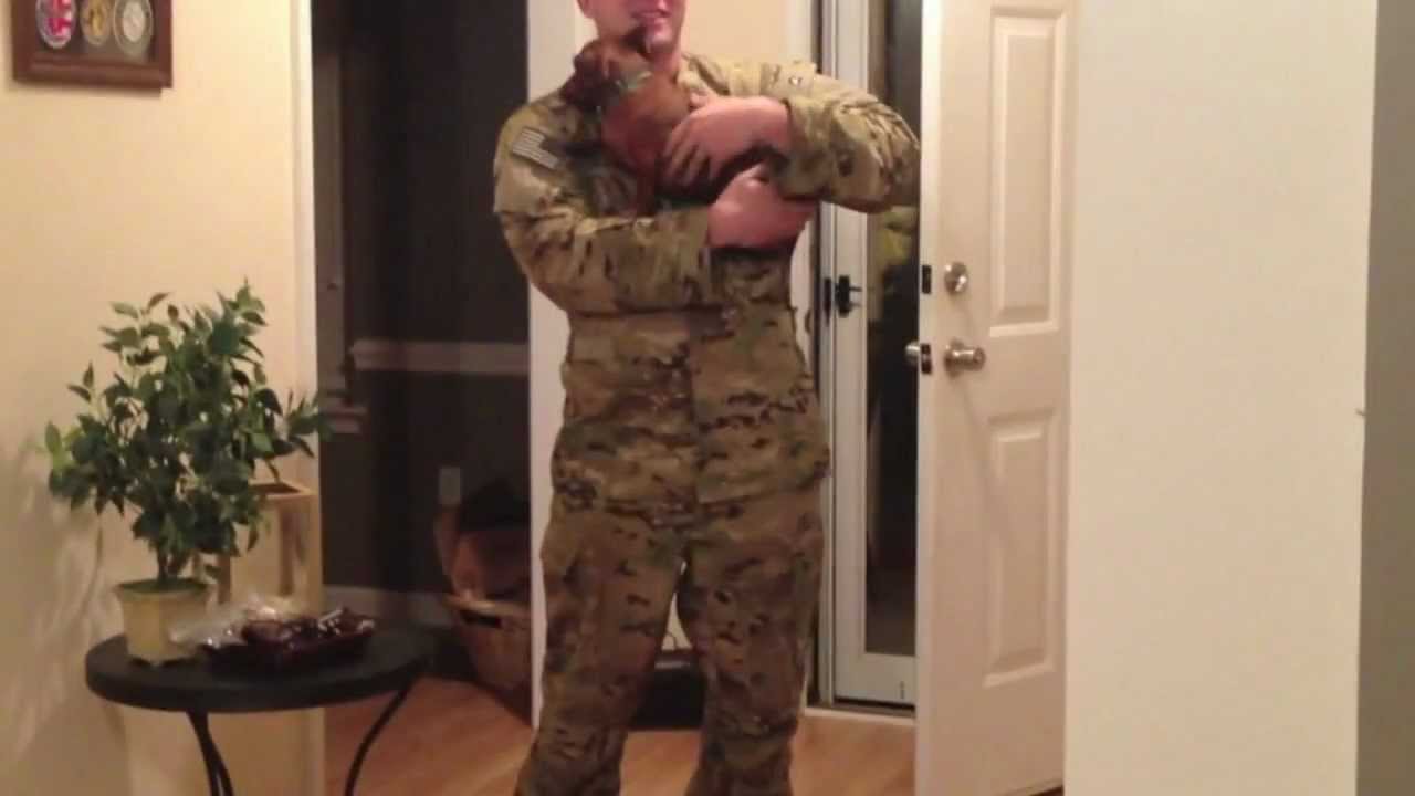 Soldier welcomed home from deployment by mini dachshund