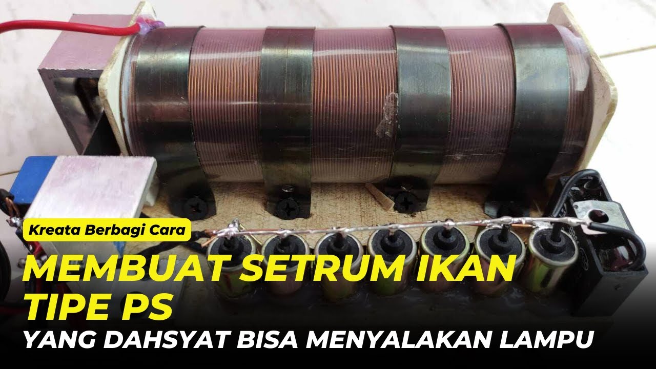 CARA MEMBUAT SETRUM IKAN TIPE PS YANG DAHSYAT BISA MENYALAKAN LAMPU, IKAN NILA PINSAN - KREATA CARA