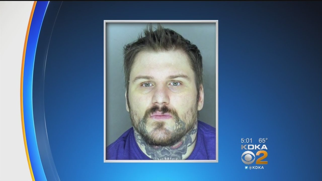 Man Accused Of Stabbings At Turtle Creek Valley Mental Health Facility Pleads Guilty