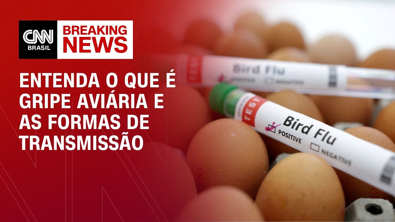 Gripe aviária: entenda como acontece a transmissão para humanos | LIVE CNN