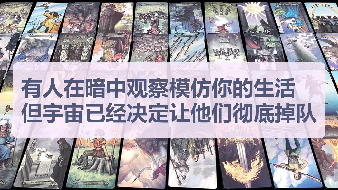 Tarot✨有人在暗中观察模仿你的生活，但宇宙已经决定让他们彻底掉队