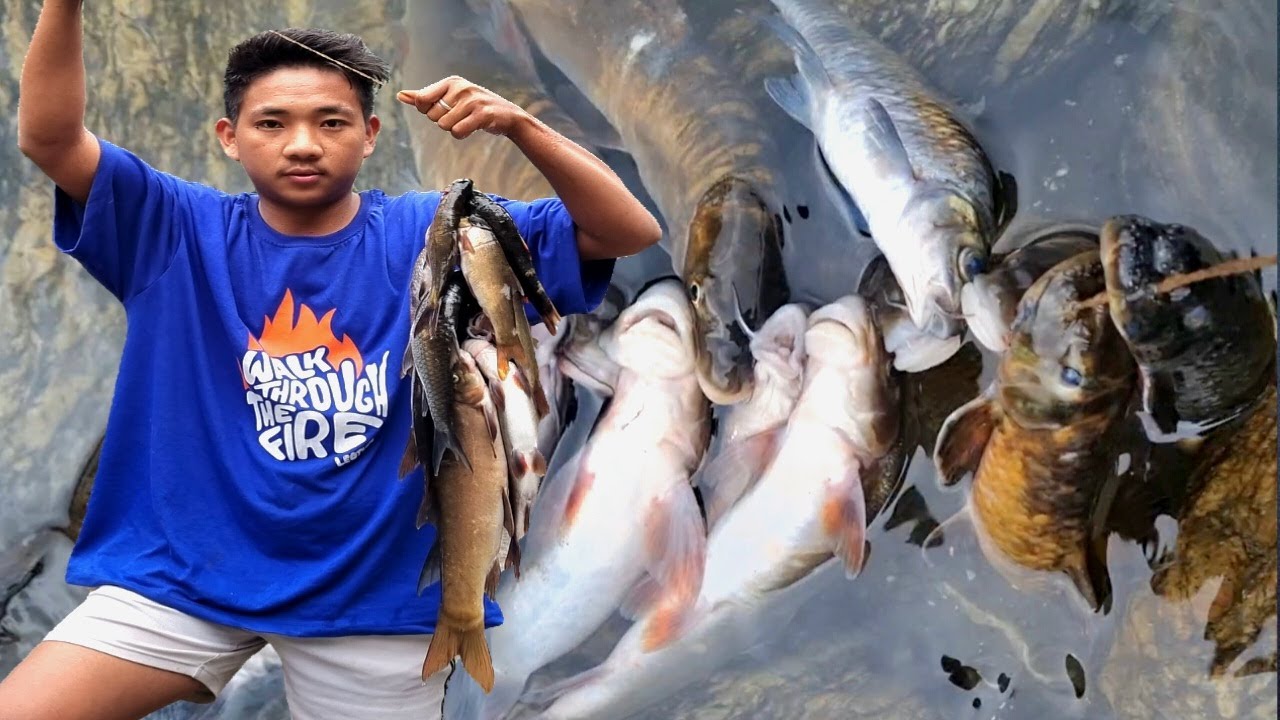 INDIA के सबसे स्वादिष्ट मछली🐟 || Fish catching from fresh #himalayas with #camping ||📍Arunachal