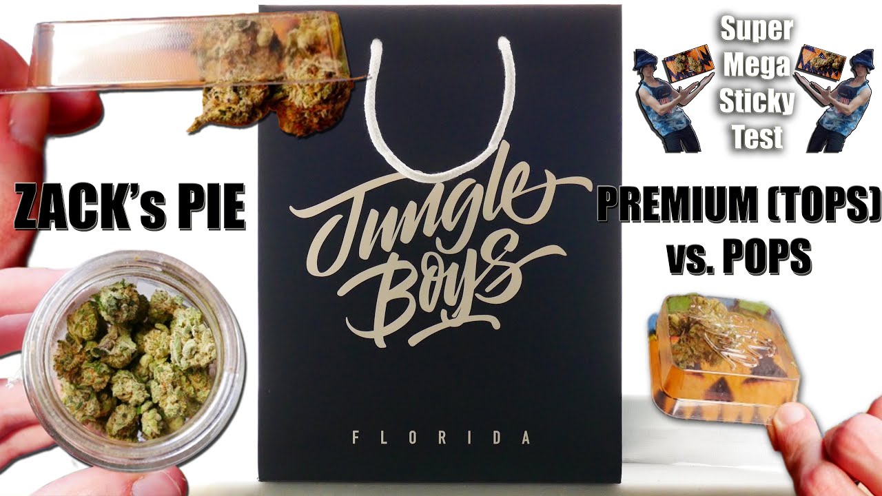Zack's Pie (PREMIUM FLOWER) TOPS vs. POPS BATTLE! | Jungle Boys Strain Review by Randy Rhoads FL
