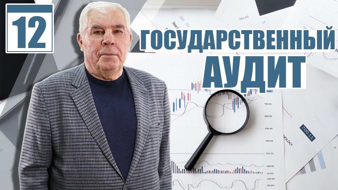 Финансовый аудит. Возникновение аудита эффективности (#12)
