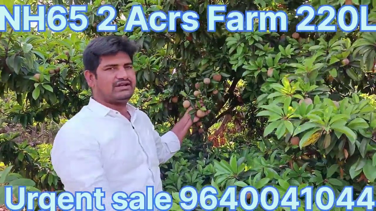 #low #cost #agriculture #land #for #sale #garden #farm #home #telangana #near #hyderabad #9640041044