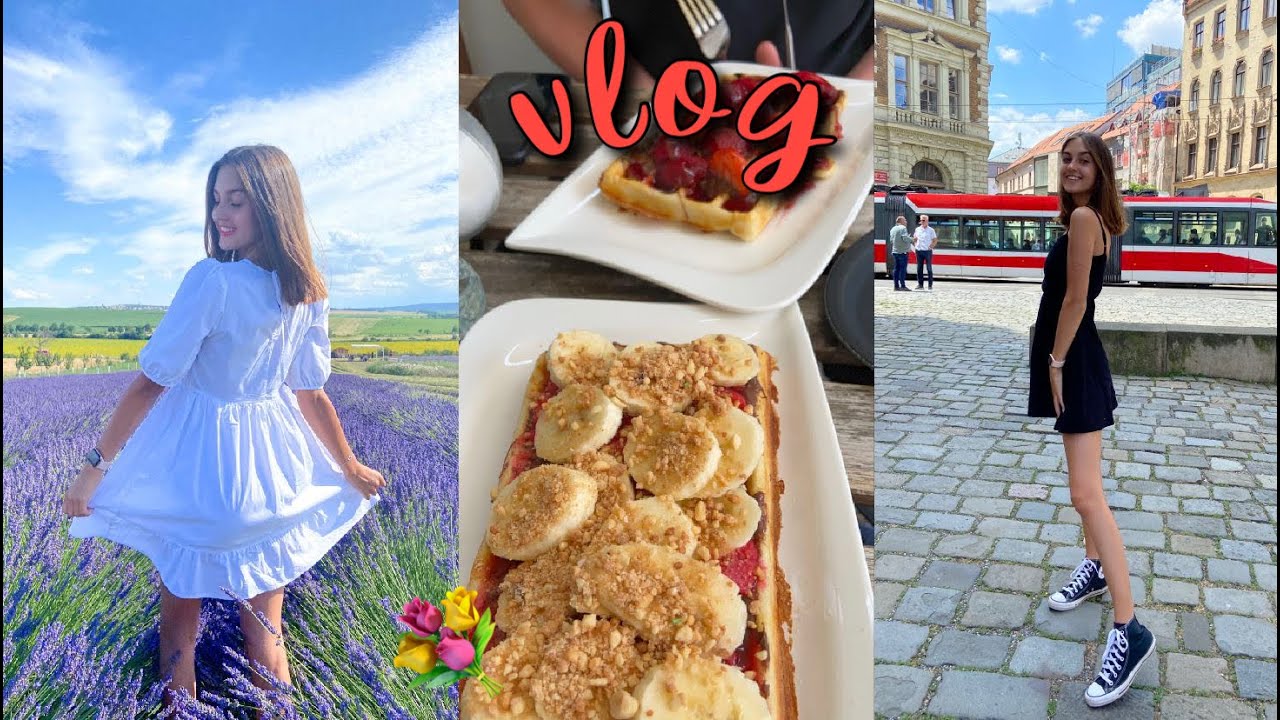 VLOG - recept & levandulová farma | Amy's World