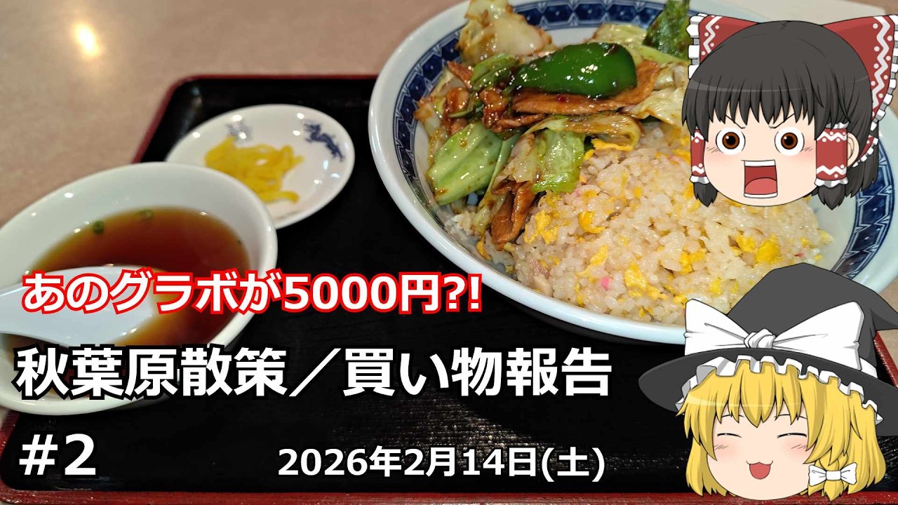【ジャンクグラボ5000円】秋葉原探索＆買い物報告動画 その2【中古／ジャンクPCパーツ】