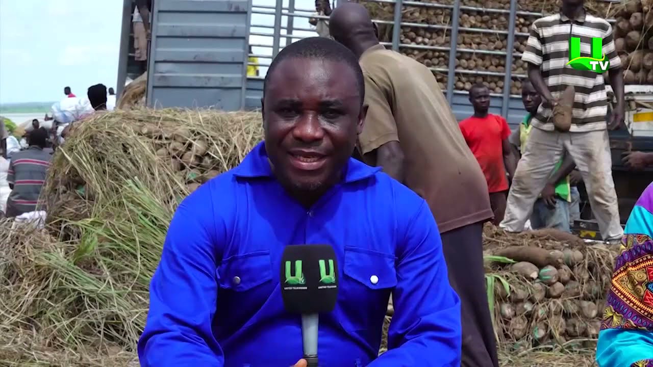 AYEKOO: Dambai Yam Value Chain