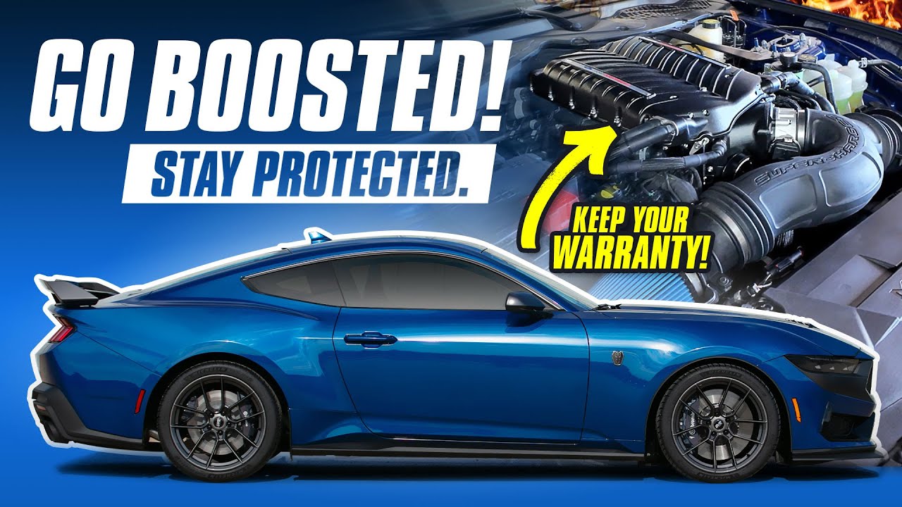 2024 Mustang Whipple Supercharger | Dyno Numbers & Ride Along (M-6066-M8800)