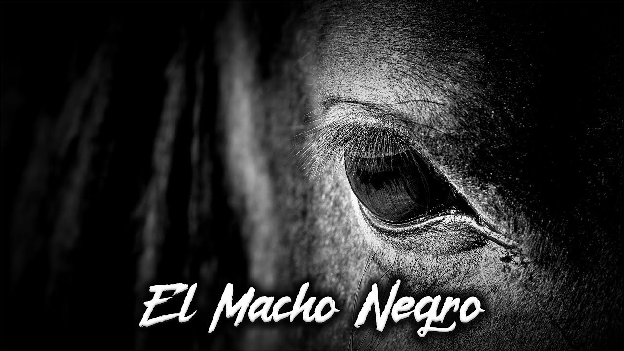EL MACHO NEGRO | Cuentos y Leyendas de Honduras