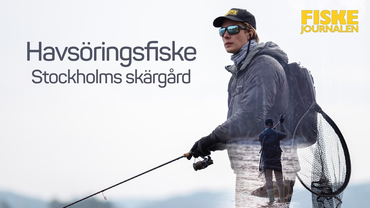 Havsöringsfiske i Stockholms skärgård | Fiske- och pryltips med Fiskejournalen