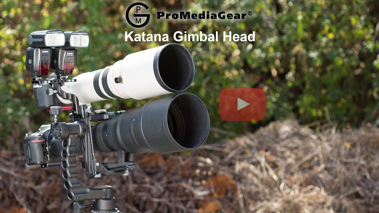 Best Gimbal Head for Action and Wildlife Telephoto Photography for Tripod