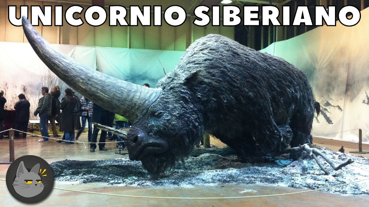 10 Animales Extintos Que Podrían Resucitar Muy Pronto