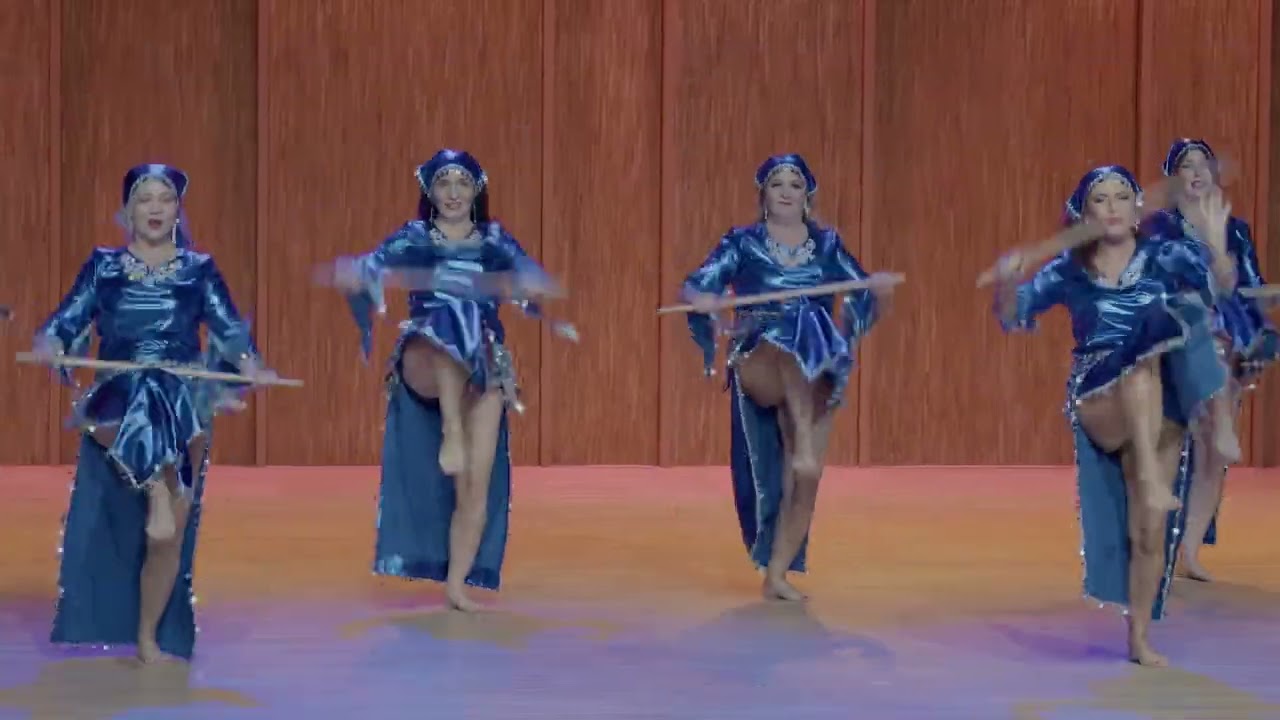 Asides - Saidi - IODF Competition Estonia 2023