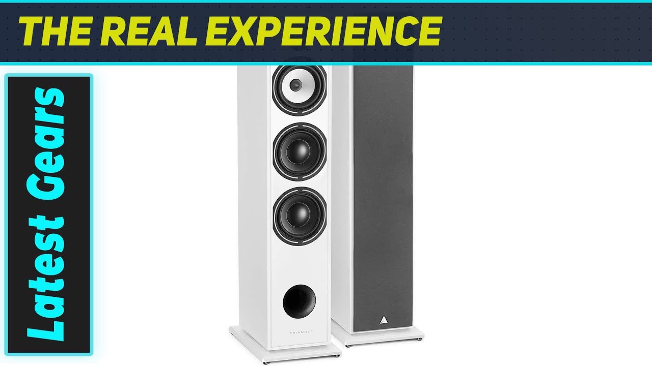 Triangle Borea BR08: BEST Floorstanding Speaker?