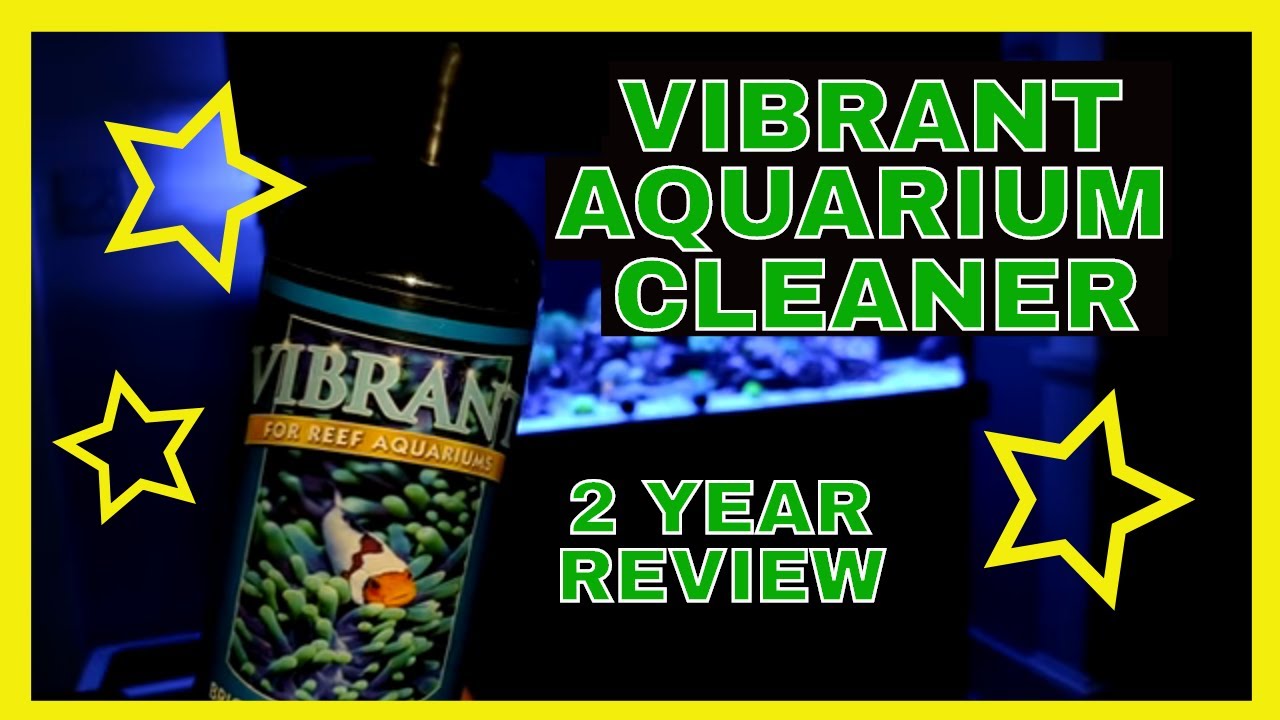 Vibrant Aquarium Cleaner - Reef Tank Algae Removal -  2  Year Review