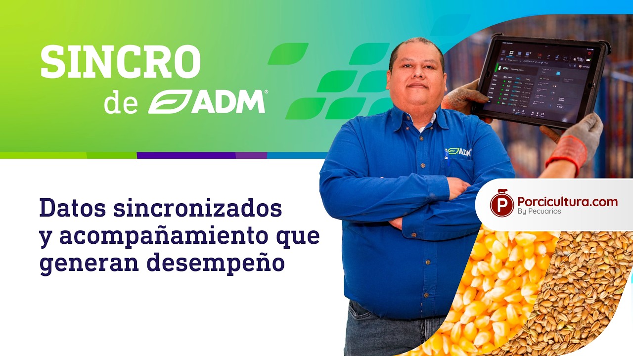 SINCRO y acompañamiento técnico: la estrategia integral de ADM en porcicultura