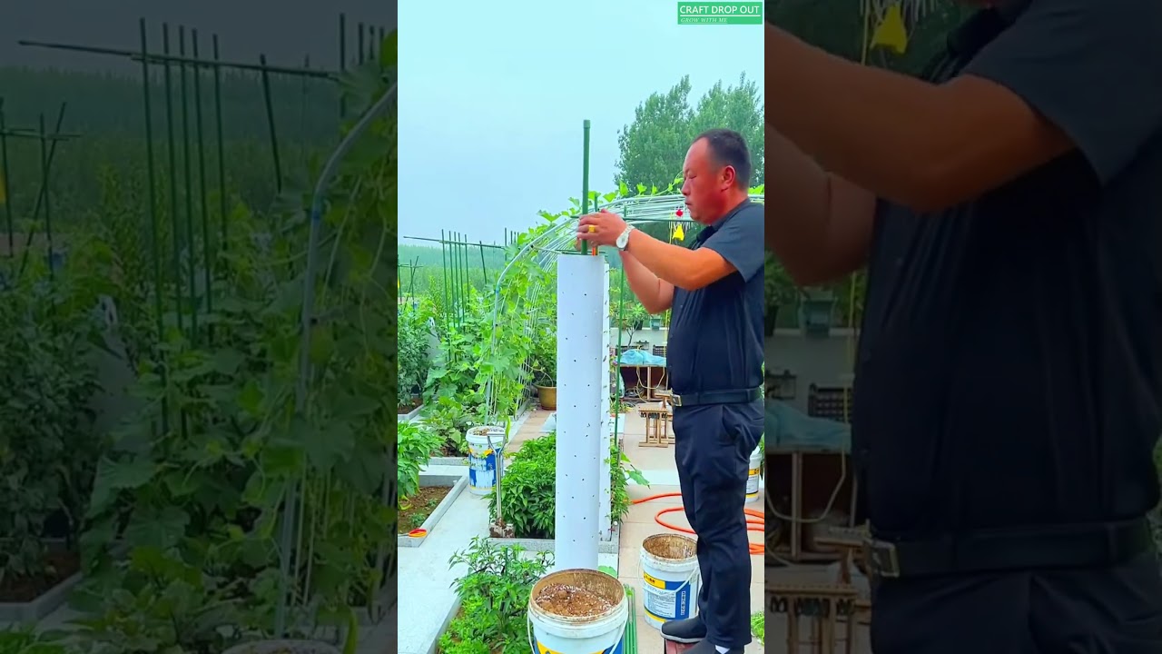 No Space Try Vertical Gardening!