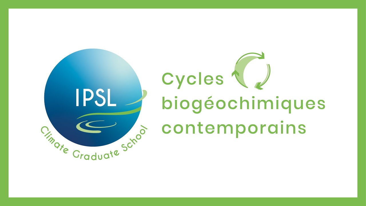 Le cycle du carbone en milieu continental