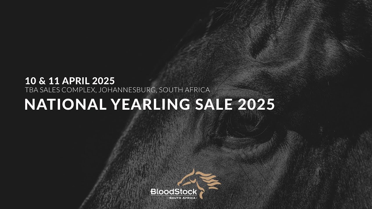 NATIONAL YEARLING SALE 2025 | DAY 1