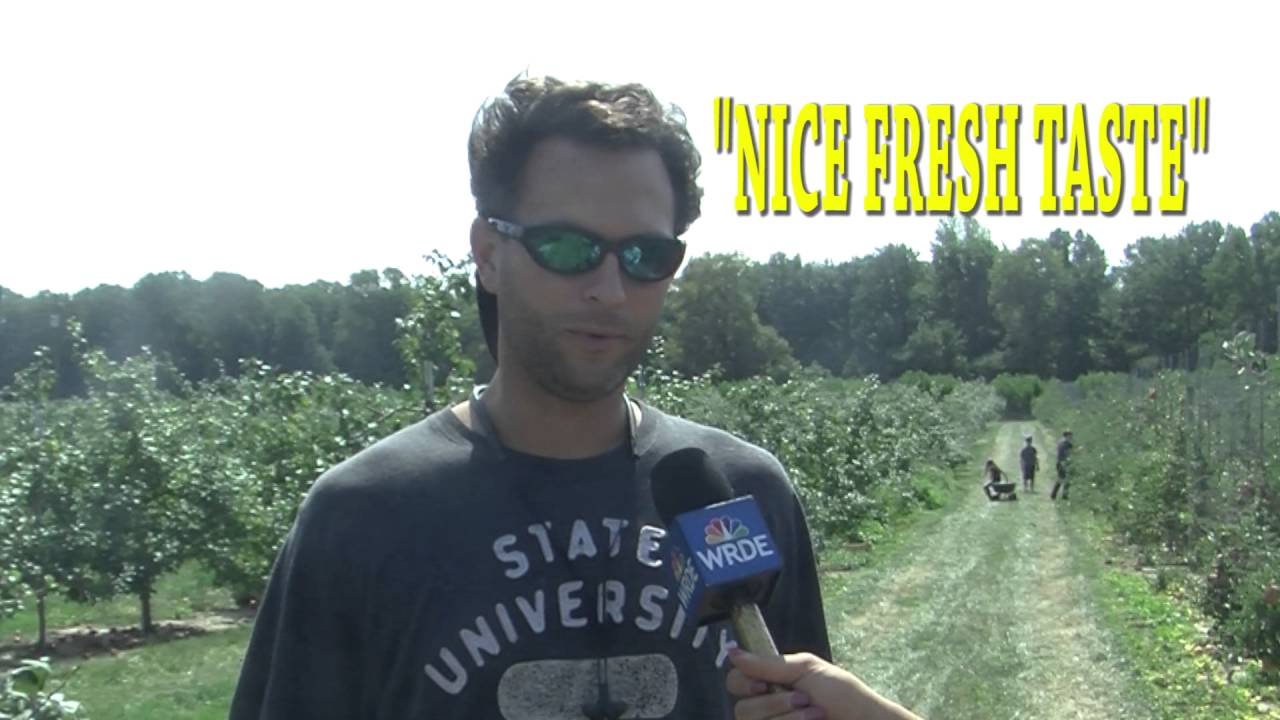 WRDE ON TOUR: Apple Picking on Delmarva