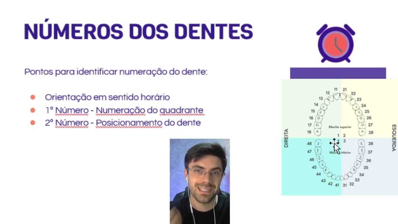 NÚMEROS E NOMES DOS DENTES | ASB TOTAL