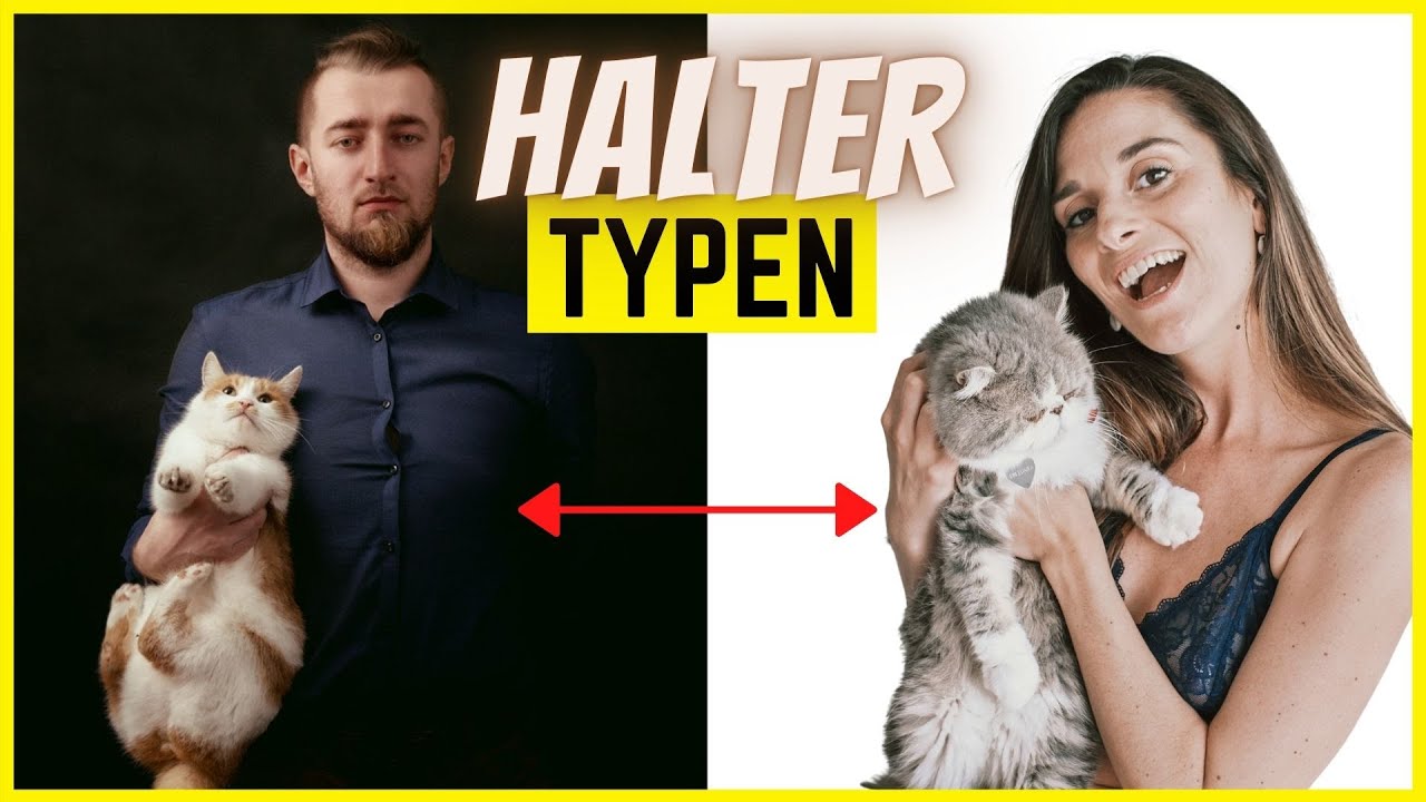 Diese 8 Typen Katzenhalter gibt es &ndash; Welcher bist du?