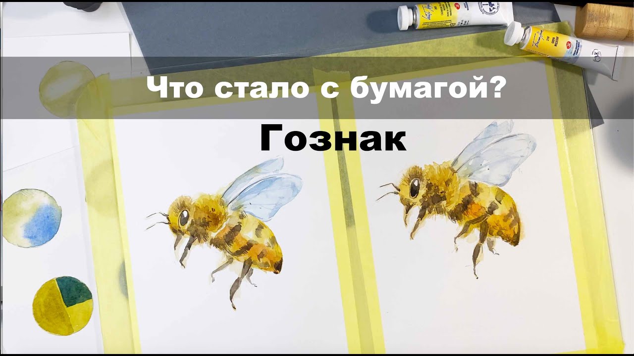Бумага для акварели Гознак, сравнение