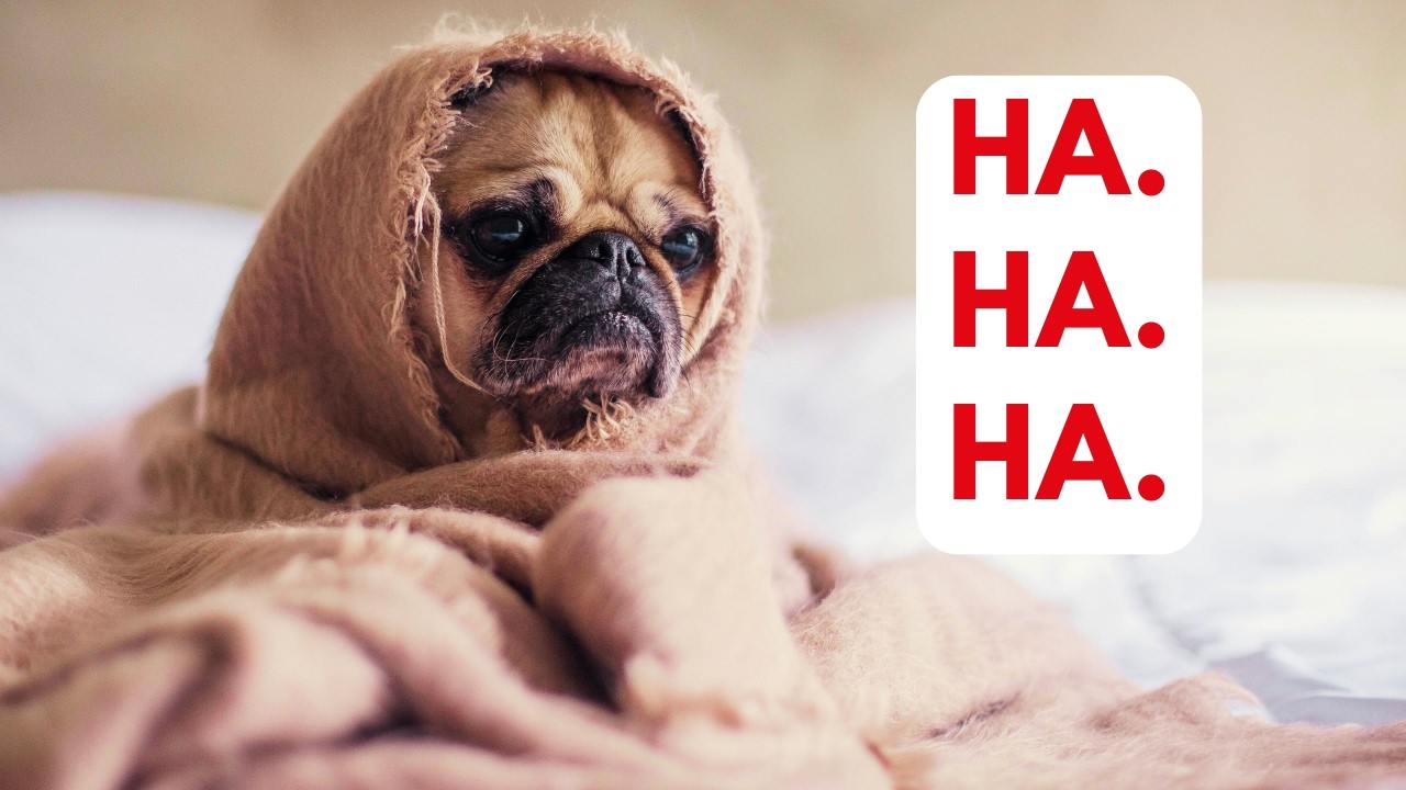 Freude in diesen Zeiten? Christen in Anfechtung: Trauma, Trauer & Co. Freuet euch? Teil 1