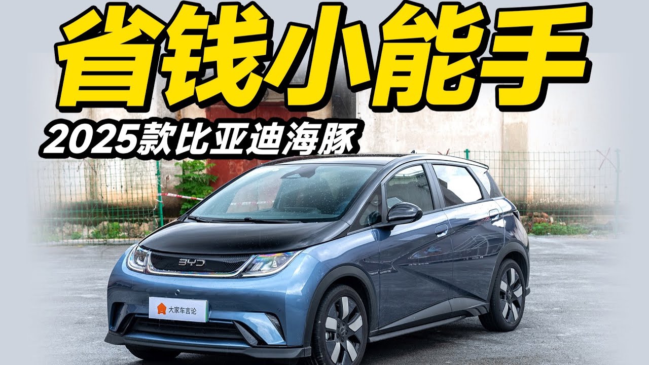 加量不加价，新款BYD海豚怎么选？【大家车言论】