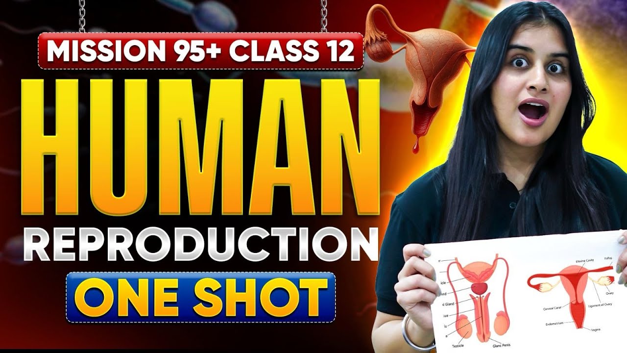 Class 12 Biology🌸Human Reproduction in Flowering Plants One Shot |  Dr Chelsy Mission 95+ #class12