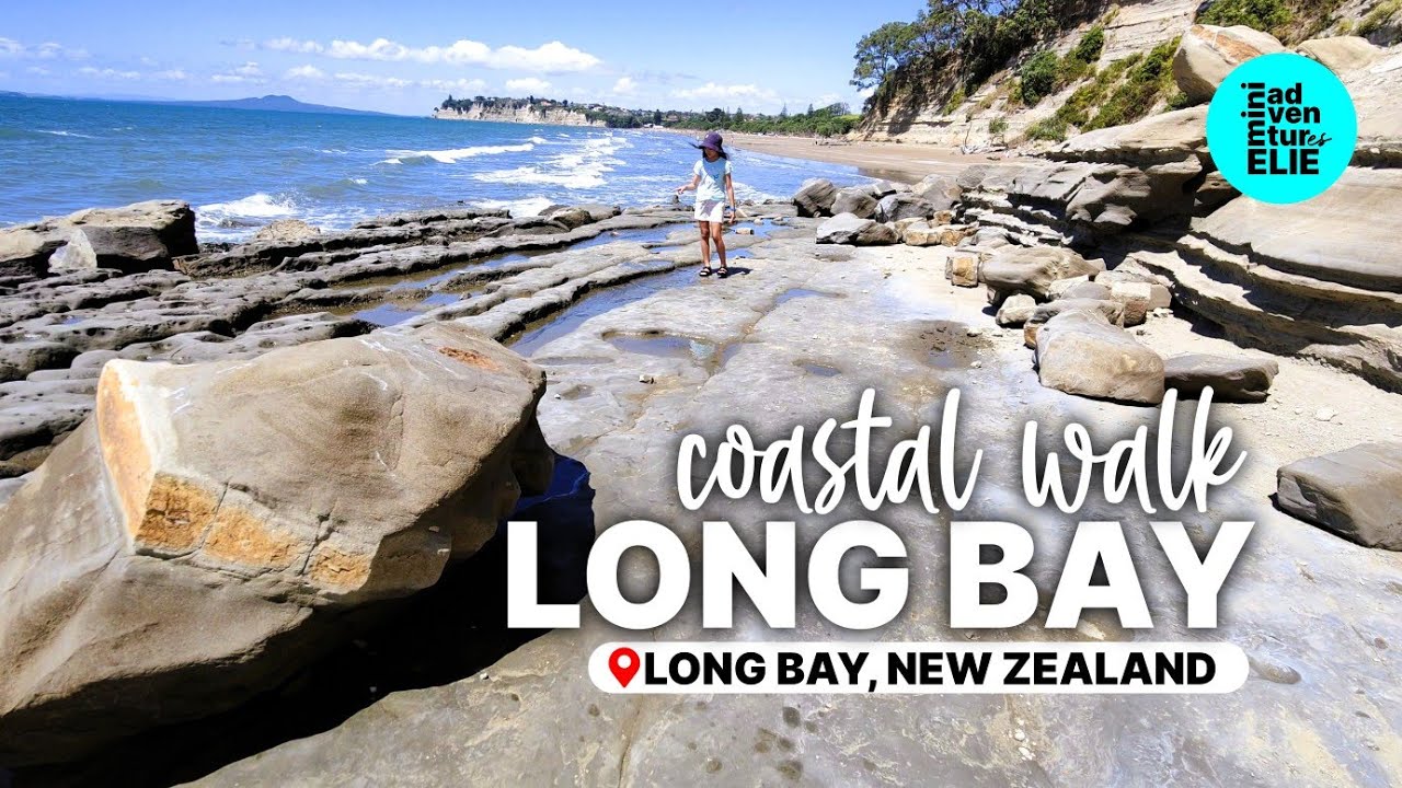 Long Bay Coastal Walk | Long Bay Regional Park, Auckland, New Zealand