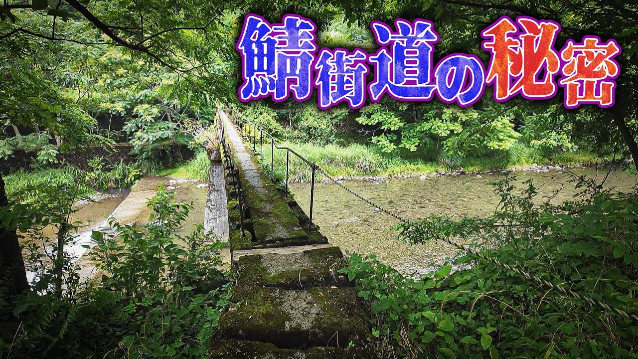 【福井・滋賀・京都】道の魅力全部盛り！鯖街道の歴史と秘密
