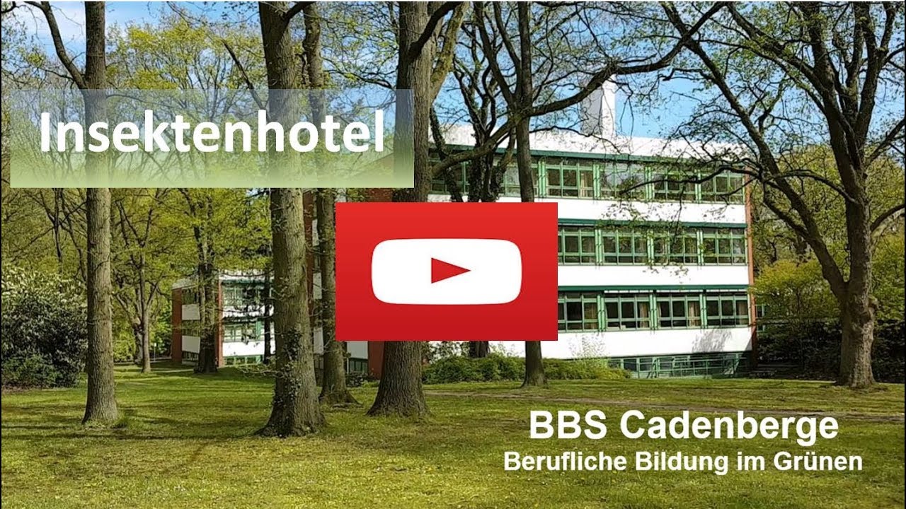 Insektenhotelbau