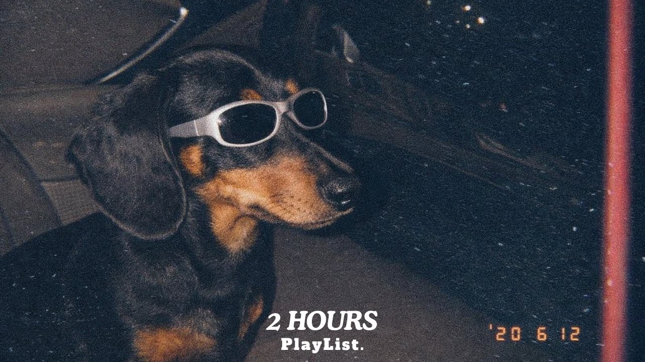 Late Night Chill Lo-fi 🕯 2 Hours Instrumental Beats for Light Focus & Thinking | Dachshund Lo-fi