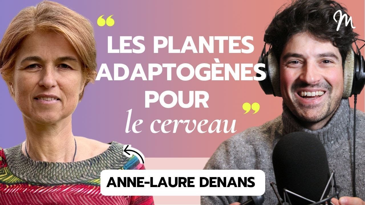 Les plantes adaptogènes pour le cerveau, avec la docteure en pharmacie  Anne-Laure Denans #570