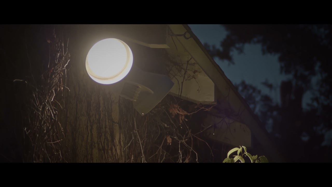 Pocket 6k Pro extreme low light with a $20 lens