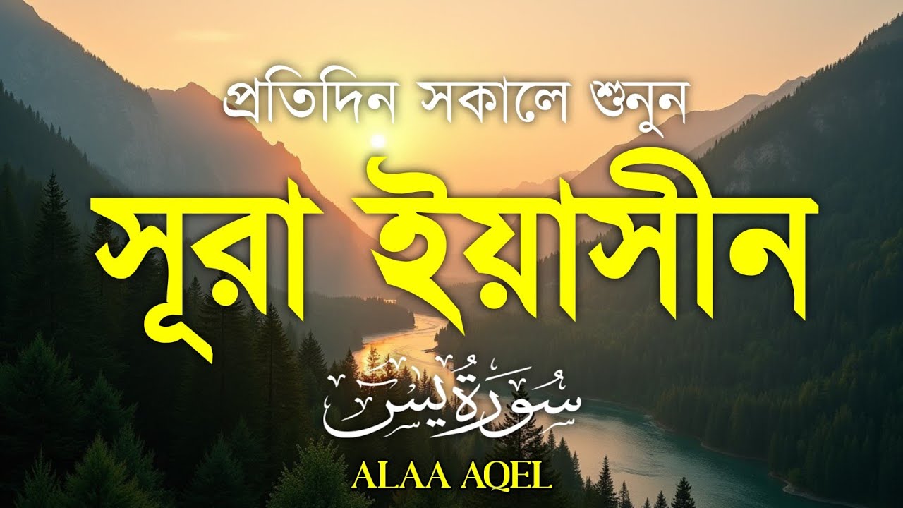 (প্রতিদিন সকালে শুনুন) সূরা ইয়াসীন (سورة يس) | Surah Yaseen/Yasin | Morning Tilawat