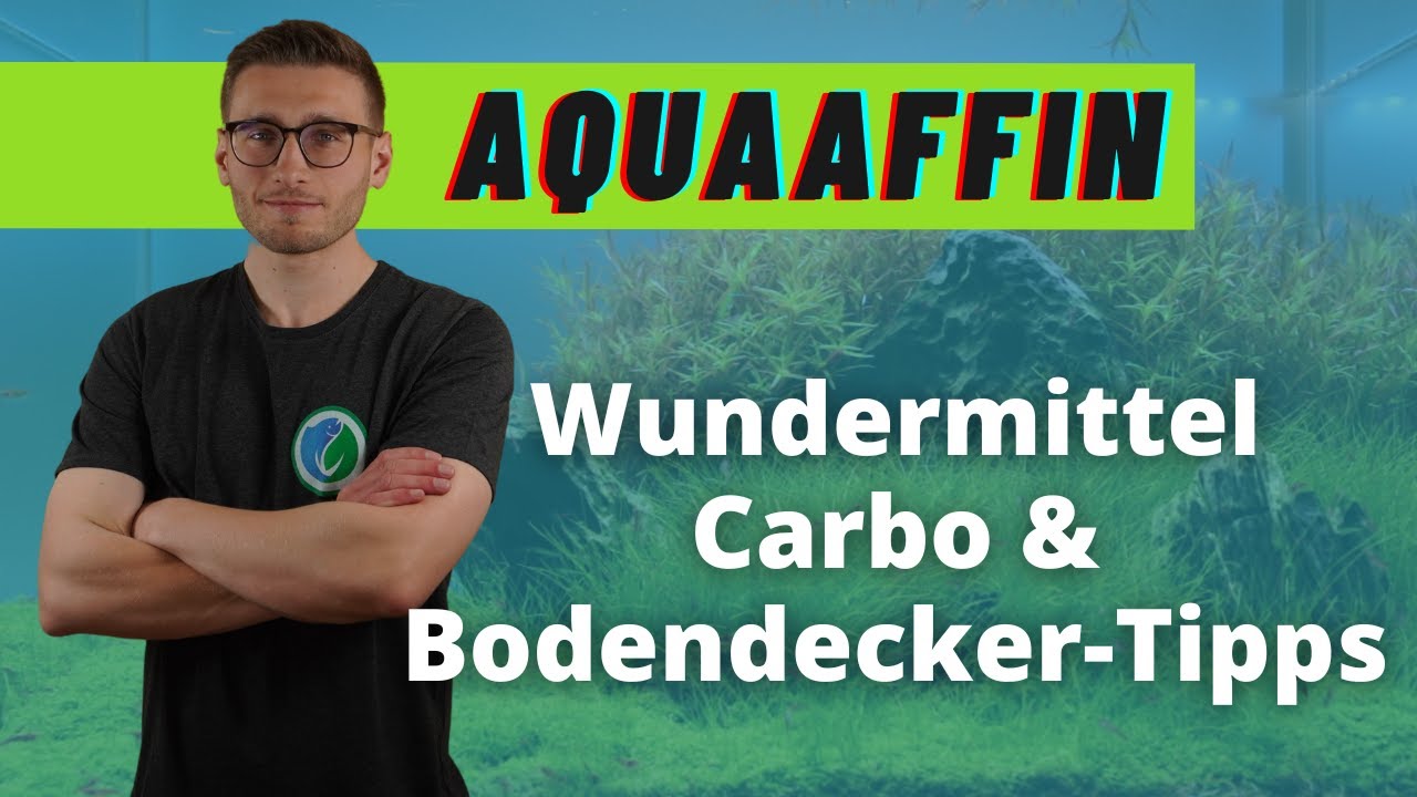 Carbo-Dünger als Wundermittel & Tipps für schöne Bodendecker - AquaAffin #86