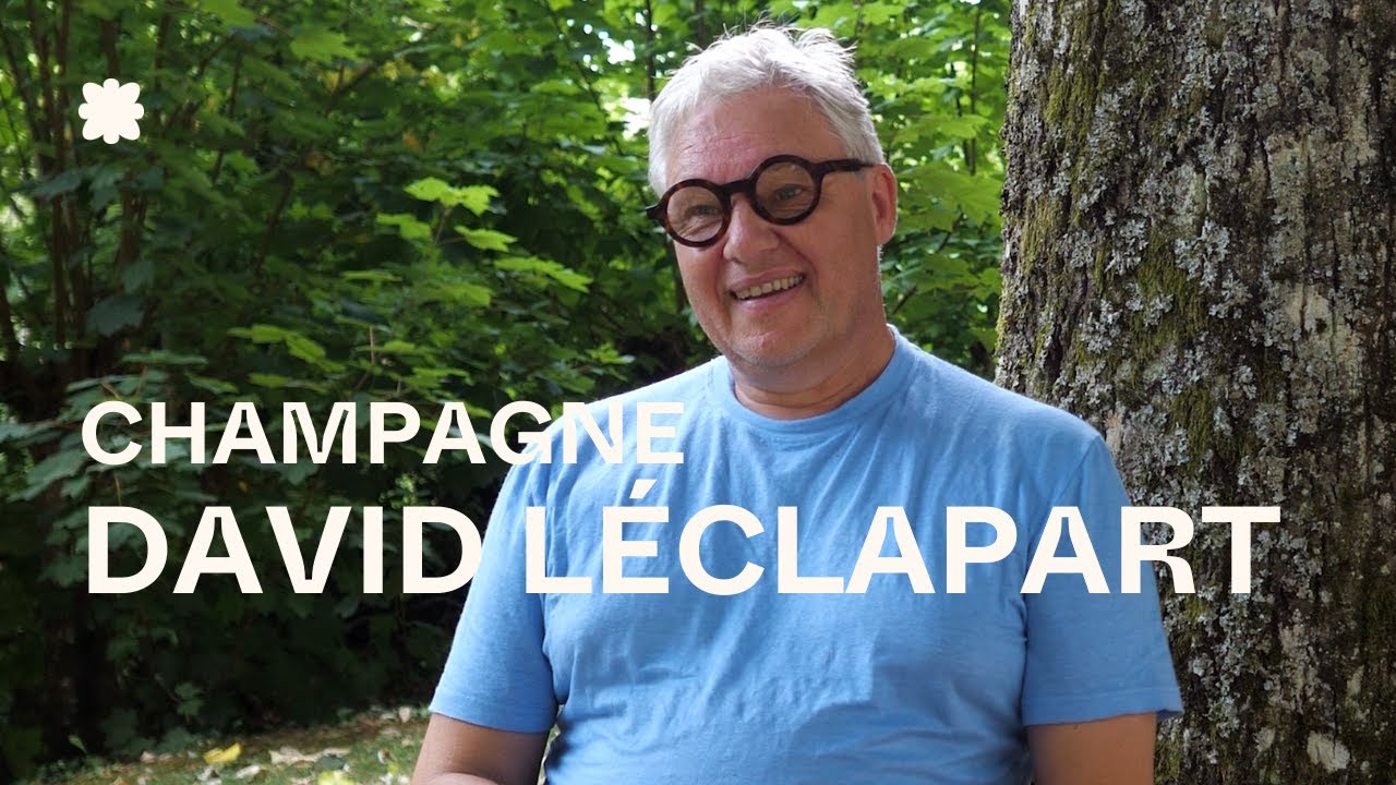 Champagne David Léclapart | Montagne de Reims 🇫🇷