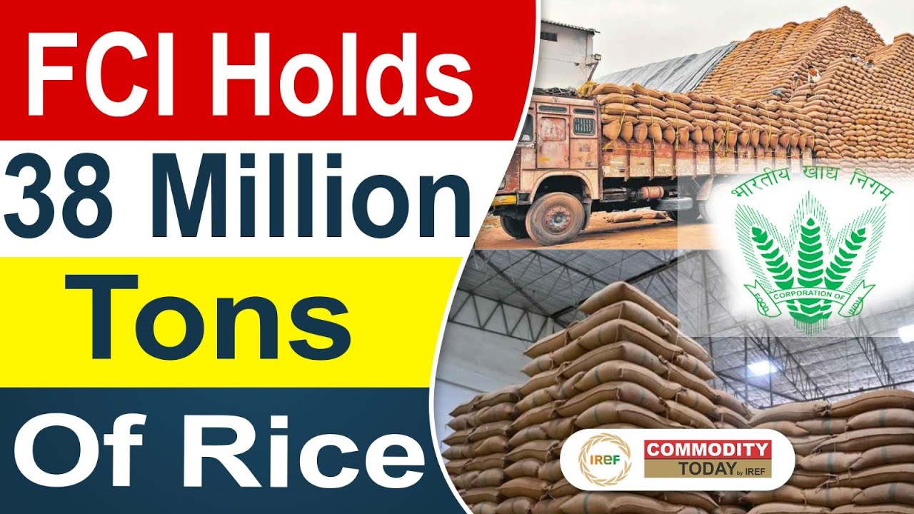 India Record Rice Stock Crisis or Opportunity? #riceindustry #ricecrisis