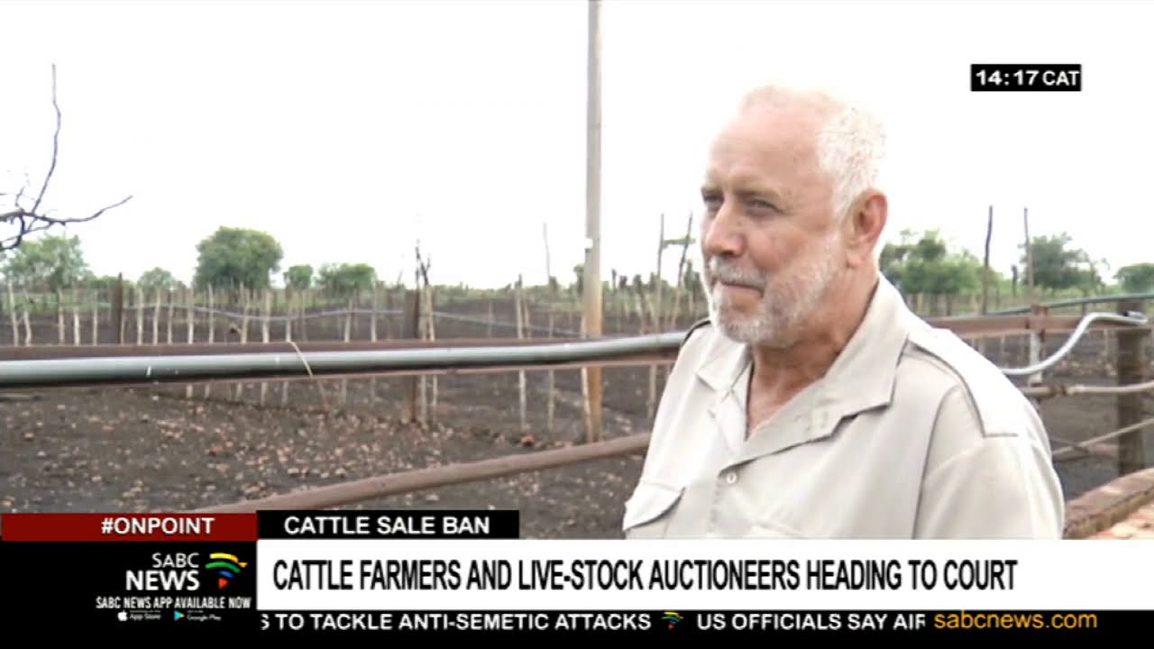 North West cattle farmers, auctioneers take Agriculture ministry to court