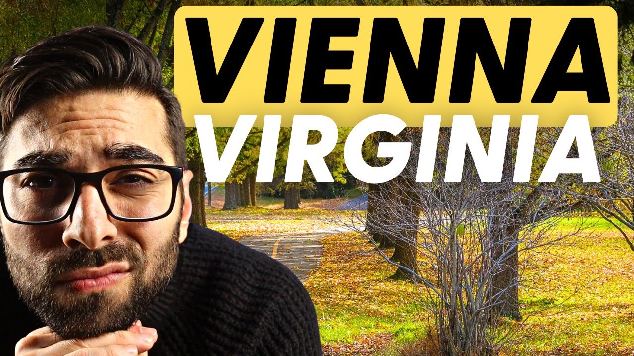 Why Vienna is the HOTTEST Town in Northern Virginia