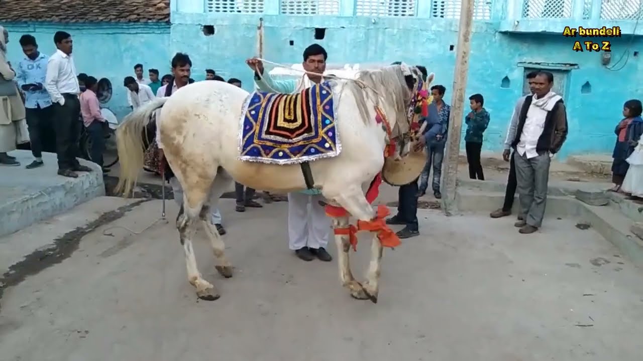 #new_viral_Latest Ghoda Dance | घोडा डांस बुन्देली | #2023_2023_new Dhamaka #Ghodadance_desidhamal