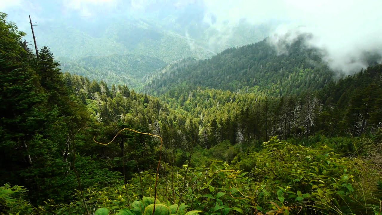 Sacred Mountain of the Smokies -  Introduction to Mt Le Conte