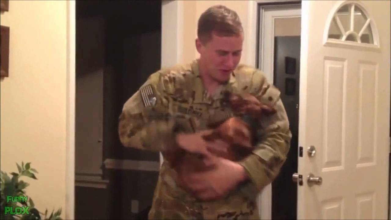 Perros recibiendo a soldados de Irak (impresionante¡¡¡¡)
