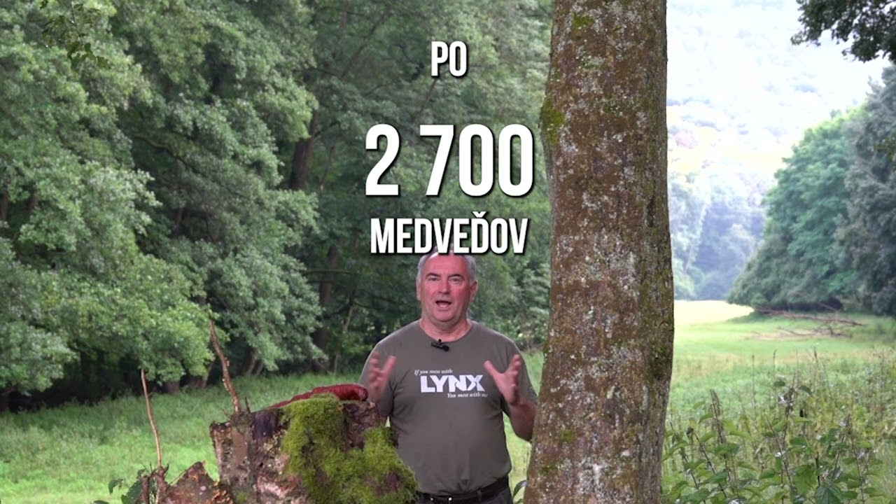 Kde sa stala chyba pri analýze početnosti medveďa?