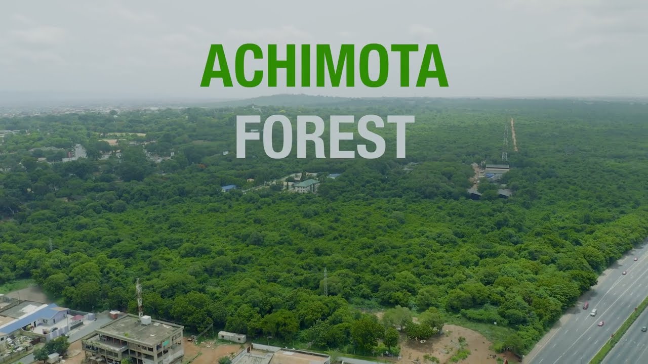 4K Drone shot of Achimota Forest Reserve #Achimota #Forest #ACCRA #Zoo