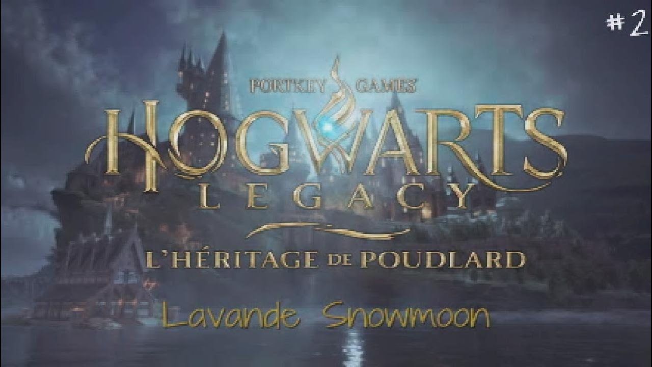 Hogwarts Legacy FR #2 - Après l'effort le réconfort !